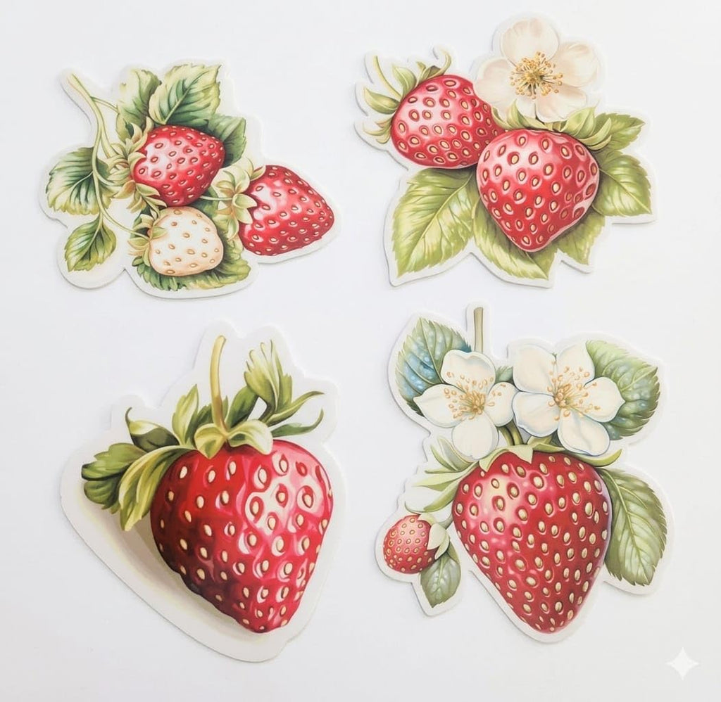 Strawberry Floral Bubble Guard Sheet Table Mats | Decorative Fruit Theme Placemats for Dining Table | Waterproof, Heat Resistant & Easy to Clean